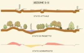 Ipotesi di riapertura vecchio alveo Arno in Comune di Empoli (FI) . Sez.D-D